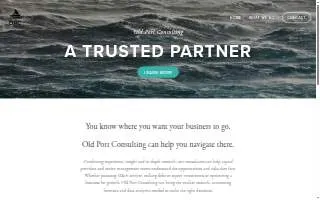 Old Port Consulting website