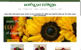 Downeast Flowers & Gifts Inc website