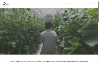 Black Fly Media website
