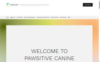 Pawsitive Canine Care & Training LLC of Westbrook