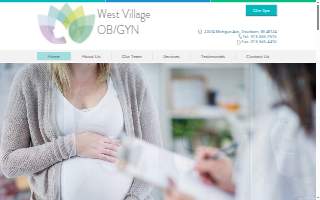 West Village OBGYN of Allen Park