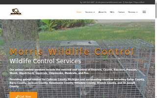 Morris Wildlife Control