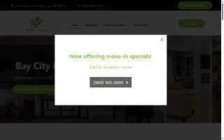 Bay City Comfort Care website