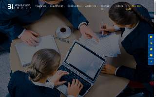 BI Consultant Group