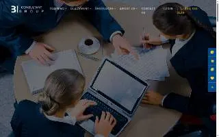 BI Consultant Group of Berkley website