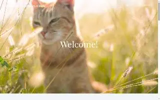 Stone Hill Vet Clinics PC: Smith Ann E DVM website