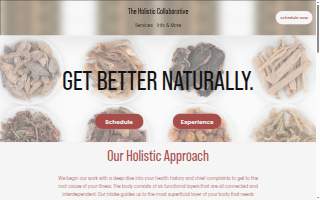 The Holistic Collaborative