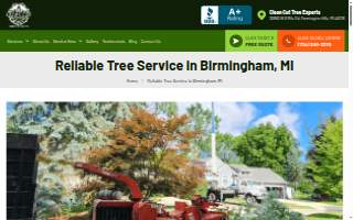Clean Cut Tree Experts of Birmingham