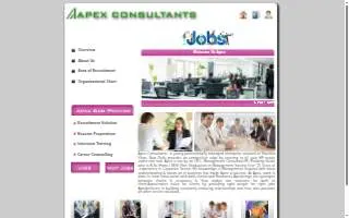 Apex Placement & Consulting of Clawson website