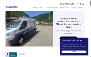 Peekaboo Security Cameras