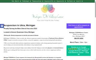 Michigan TCM Wellness Center
