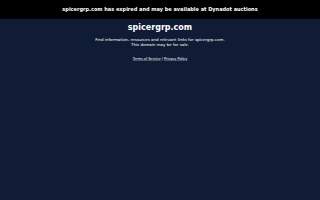 Spicer Group Inc