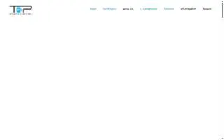 Top Network Solutions of Dearborn website