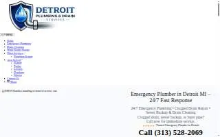 Detroit Plumbing and Drain Services website
