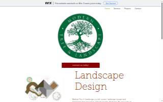 Modern Tree & Landscape llc