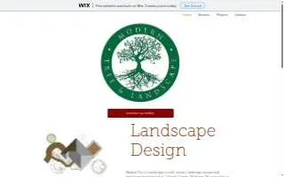 Modern Tree & Landscape llc of Detroit website