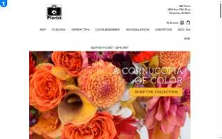 CAM-Florist website
