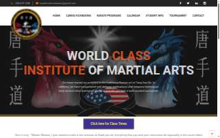 World Class Institute of Martial Arts
