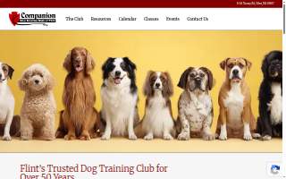 Companion Dog Training Club