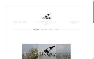 Little Guy Wine Company