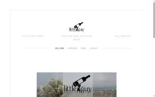 Little Guy Wine Company website
