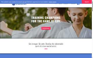 School of Martial Arts