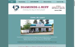 Diamonds In The Ruff Pet Grooming