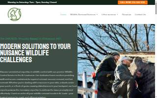 Boone Wildlife and Pest Solutions