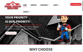 Super Mario's Roofing