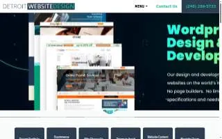 Detroit Website Design website