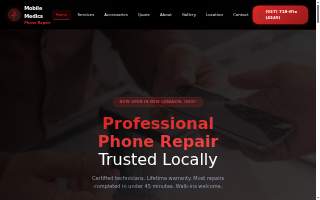 Stoneys Landscaping of Madison Heights