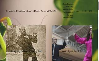 Chung’s School of Praying Mantis