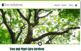 Tree Solutions LLC of Fraser