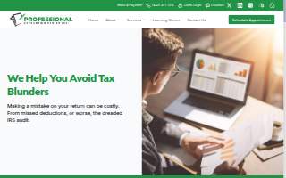 Professional Accounting Solutions