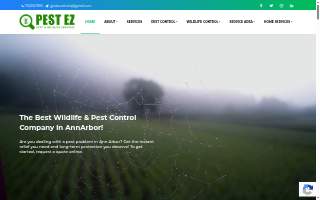 Pest EZ : Exterminator Novi, Pest Control Services Novi