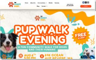 Doggy Come Play: Daycare