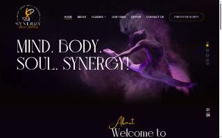 Synergy Dance Academy