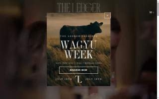 The Ledger