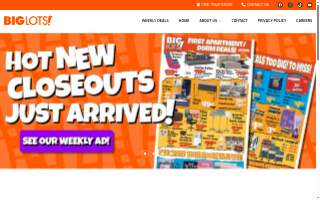 Big Lots of Port Huron