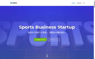 Software and Beyond Staffing Solutions
