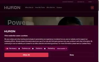 Huron Business Analytics website