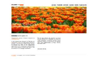 Holland Engineering Inc