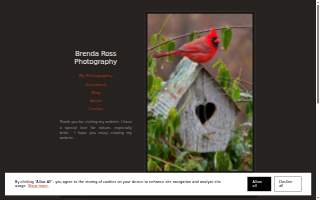 Brendan Ross, Photographer