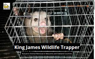 King James Wildlife Trapper