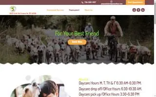 Island Pawadise website
