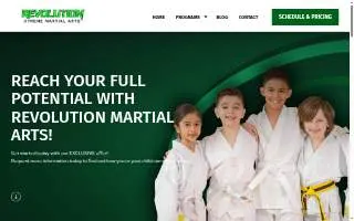 Revolution Martial Arts Mi of Trenton website