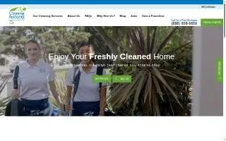 Cleaning with Meaning website