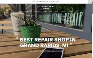 Lake Effect Phone Repair of Walker