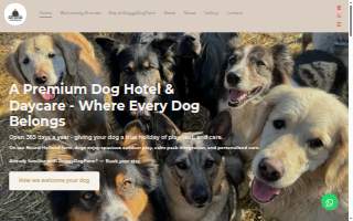 Doggy Daycare & Spa