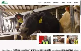 Riverview Animal Hospital website